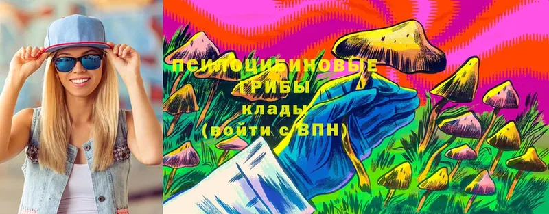 Псилоцибиновые грибы Cubensis  Бабушкин 